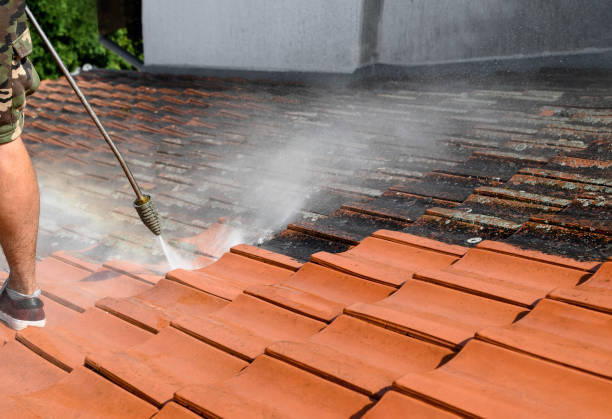 Best Pressure Washing Company Near Me  in Ferry Pass, FL