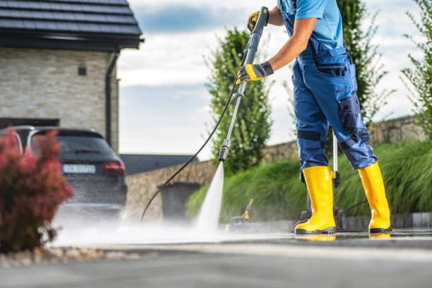 Best Roof Pressure Washing  in Ferry Pass, FL